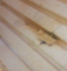 picture 4.jpg